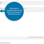 WordPress White Text and Missing Buttons Error Fixing Services